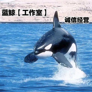 Telegram group profile photo for 号商蓝鲸工作室(高质量q解封)