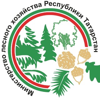 Telegram profile photo for Минлесхоз Татарстана