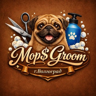 Telegram profile photo for Мопс грум🔹️Волгоград (груминг собак и кошек)