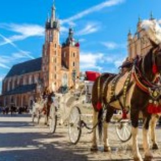 Telegram profile photo for Work Krakow/Warsaw/Lodz