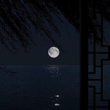 Telegram profile photo for • محلول در شب •