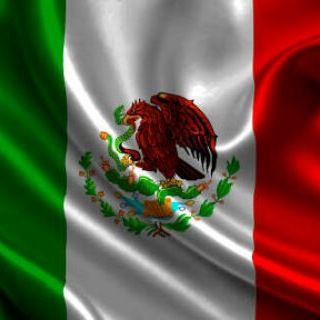 Telegram profile photo for MÉXICO NOTICIAS
