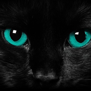 Telegram profile photo for Личный взгляд