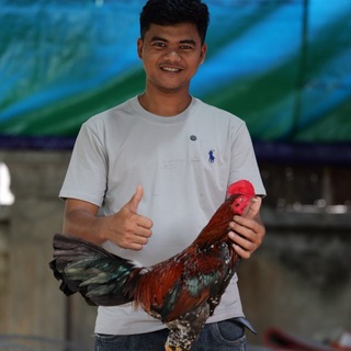 Telegram group profile photo for ទ្រុងបក្សីមហាឈូក