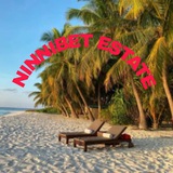 Telegram profile photo for Ninnibet calciomercato