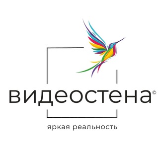 Telegram profile photo for Видео-Стена