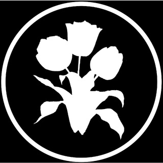 Telegram profile photo for The CryptoSyndicate