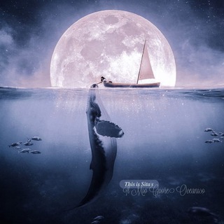Telegram profile photo for 𝖢𝗎𝗈𝗋𝖾𝖮𝖼𝖾𝖺𝗇𝗂𝖼𝗈