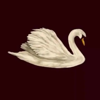 Telegram profile photo for وهَج