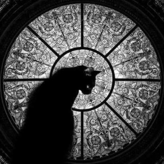 Telegram profile photo for ᵀᴴᴱ ᴱᴺᴰ