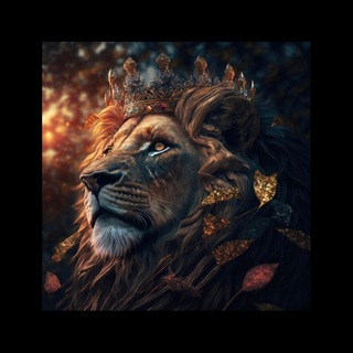 Telegram profile photo for Lion Bets🔥