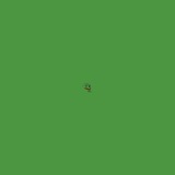 Telegram profile photo for P is for Pepe 🐸