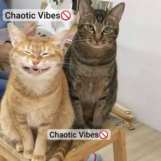 Telegram profile photo for ๐พ๐๐๐ค๐ฉ๐๐ ๐๐๐๐๐จ๐ญ