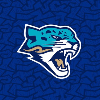 Telegram profile photo for barys_official