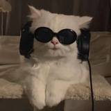Telegram profile photo for ميمز ، بوستات ، كتابات