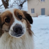 Telegram profile photo for Фоточки