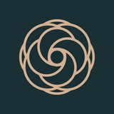 Telegram profile photo for Daffodil Flowers & Chocolate