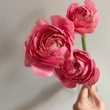 Telegram profile photo for Находки/скидки/промокоды с маркетплейсов