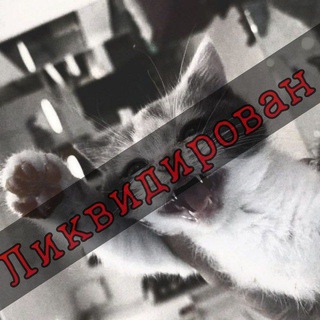 Telegram profile photo for Пøмoйкā 48🦐+//