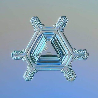 Telegram profile photo for THE STRONGEST