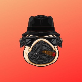 Telegram profile photo for PugFather Announcements