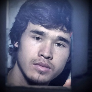 Telegram profile photo for جواد کوهی