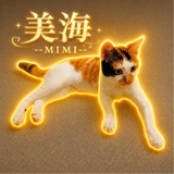 Telegram profile photo for $Mimi - The Imperial Rescue Cat