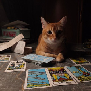 Telegram profile photo for Чебоксары взорвали снова