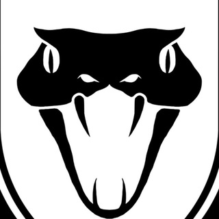 Telegram profile photo for BLACK MAMBA GROUP