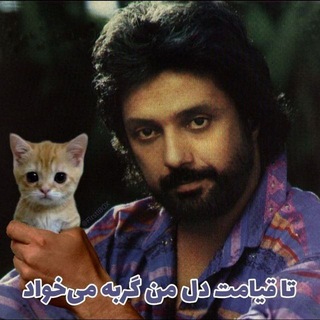 Telegram profile photo for Sefid Music