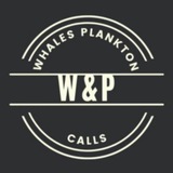 Telegram profile photo for Whales & Plankton Calls