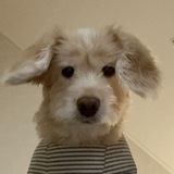Telegram profile photo for реклама в пю чй
