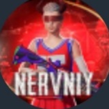 Telegram profile photo for nervnu