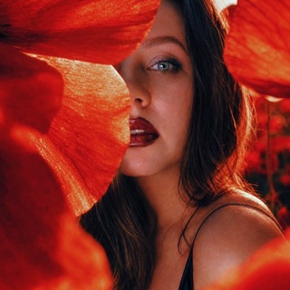 Telegram profile photo for +10 к харизме 🎪