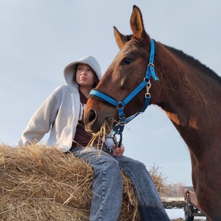 Telegram profile photo for ковбои в найках🤠