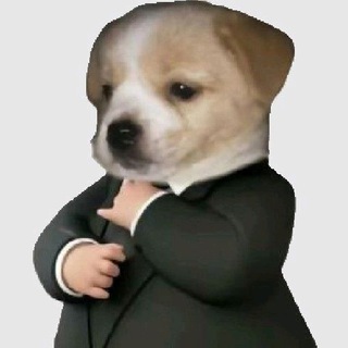 Telegram profile photo for Синканемся?