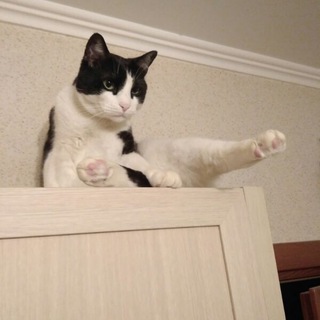 Telegram profile photo for Анекдоты на мой вкус