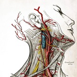 Telegram profile photo for Dissecting room