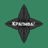 Telegram profile photo for Крапива!