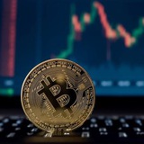 Telegram profile photo for Afghan Airdrop 💵 افغان ایردراپ
