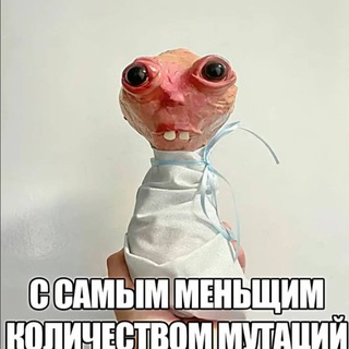 Telegram profile photo for напик и инфи