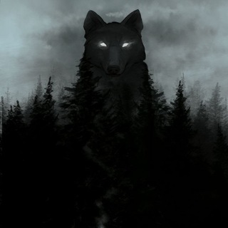 Telegram profile photo for FENRIR