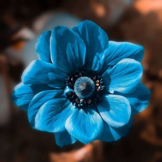 Telegram profile photo for غِـٰٚـِْ✮ِـٰٚـِْربِـٰٚـِْ✮ِـٰٚـِْآء💙