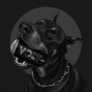 Telegram profile photo for 🫧𐌗ʙ᧐ᥴᴛᥲᴛыᥔ κ᧐нᴛᥱнᴛ🐾