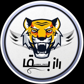 Telegram profile photo for راز بقا مستند حیات وحش