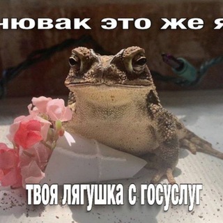 Telegram profile photo for Froggy nuggets