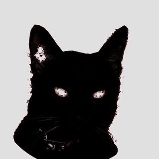 Telegram profile photo for ⬤⬤⬤⬤⬤