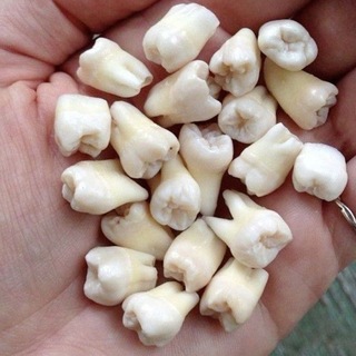 Telegram profile photo for teeth sprinkle on pie