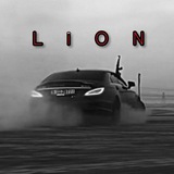 Telegram profile photo for ASL LION