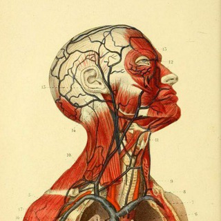 Telegram profile photo for CAS CLINIQUES ET QUIZ